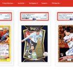 PSA-grading-pokemon-onepiece